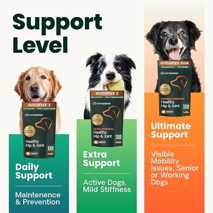 VetriScience Ultimate Strength Healthy Hip & Joint Chews, GlycoFlex Glucosamine, Chondroitin and Green-Lipped Mussel Joint Support Supplement for Dogs, Soothe Joint Discomfort, Bacon, 120 Count