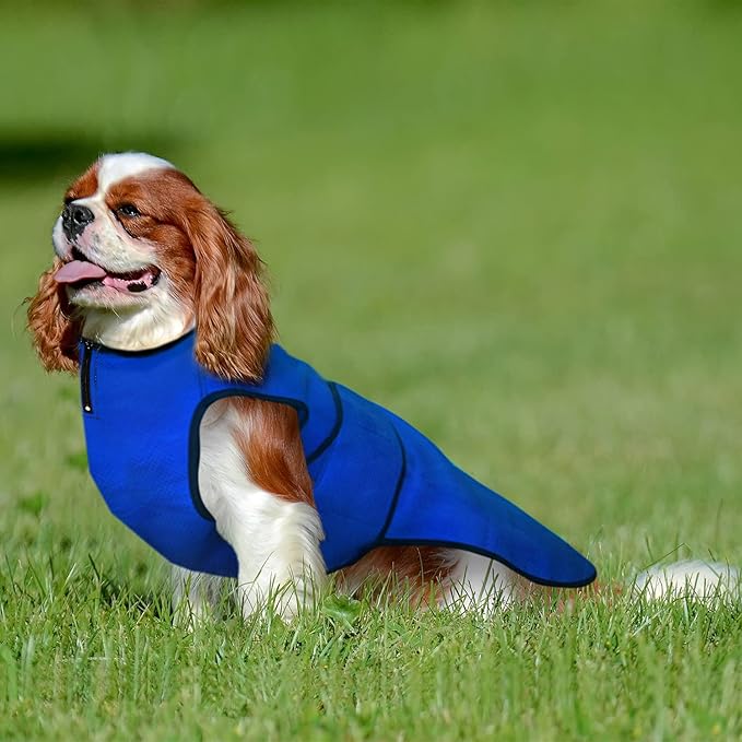 Dog Cooling Vest – Lightweight Jacket for Dogs with Zip Neck & Velcro – Easy On/Off Cooling Coat for Walks, Travel & Outdoors - M