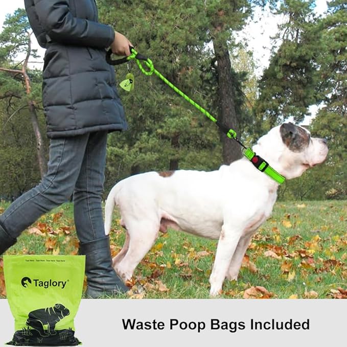 Taglory Rope Dog Leash 4 FT with Comfortable Padded Handle, Highly Reflective Threads Leash for Medium Large Dogs, 1/2 inch, Green