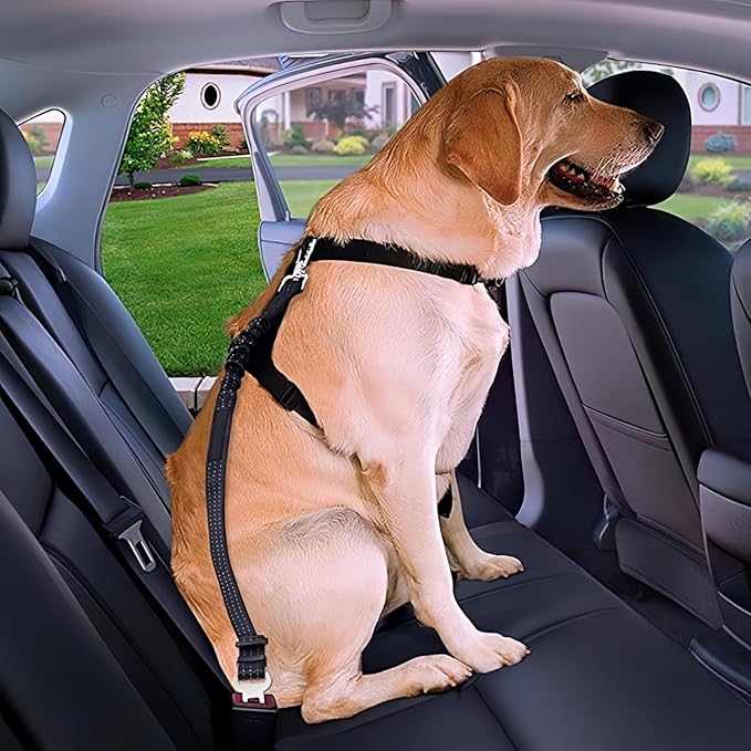 Dog Seat Belt for Car - Adjustable Dog Car Safety Harness, Elastic Cushioning Seatbelt Leash, Reinforced Metal Buckle Anti-Tangle Design, for Small and Medium Pets (Blue)