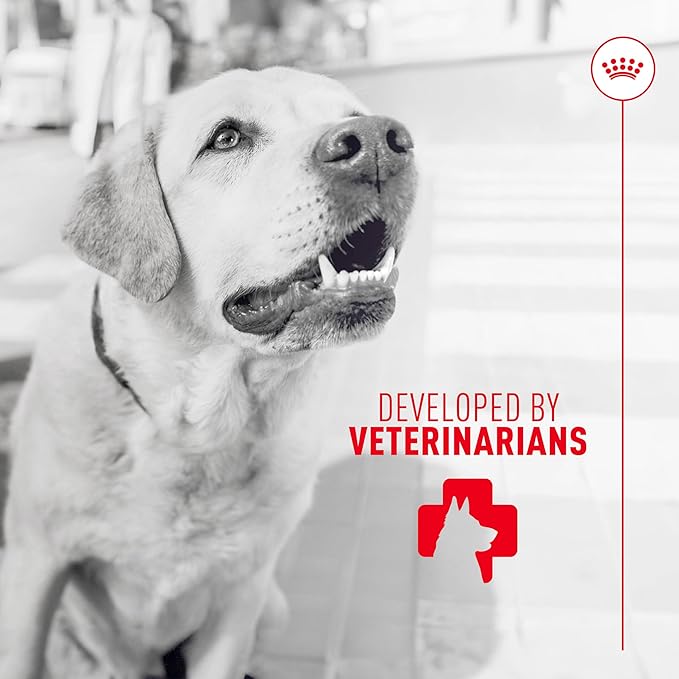 Royal Canin Digestive Dog Supplement Soft Chews for Adult Dogs, 60 Count (Pack of 3)