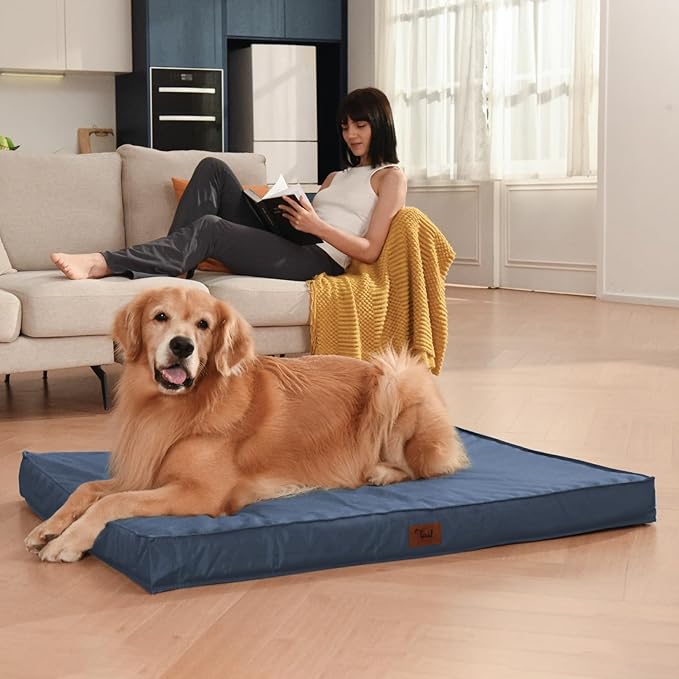 Outdoor Waterproof XL Dog Bed, Orthopedic Dog Bed for Large Dogs, Egg Crate Foam Pet Bed with Washable Removable Oxford Cooling Cover, 44x32 Inch, Navy