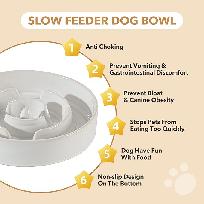 Ceramic 1.6 Cup Raised Slow Feeder Dog Bowl Set, Elevated 7.3inch Bowl and 8.2inch Dish with Acacia Wood Stand for Medium and Large Dog(Reactived Glaze -White