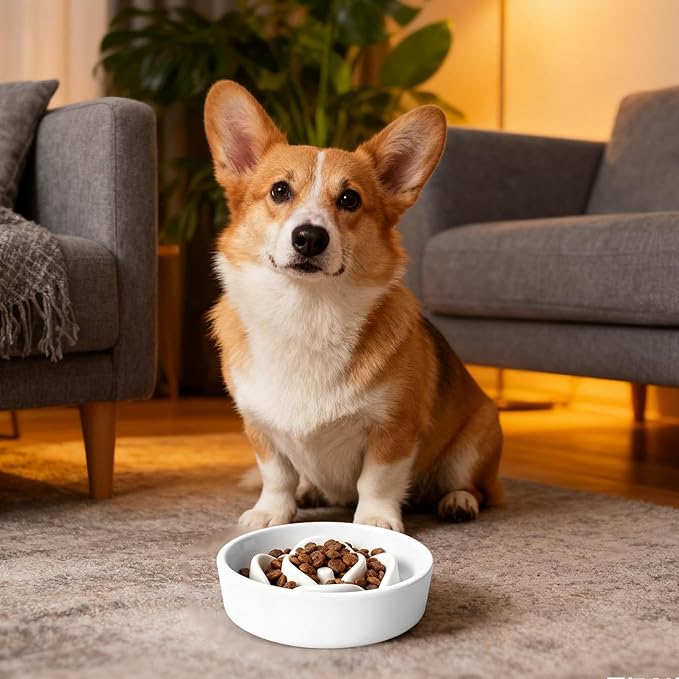 Pet Bowl - Slow Feed Dog Feeder | Fun Food Toy,Bowl for Puppies, Kittens, and Dogs, Encourages Slower Eating, Improves Digestion, Ideal for Home, Outdoor, Travel, and Daily Feeding Routines