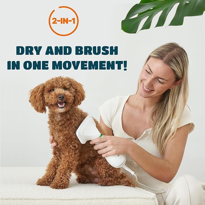 2-in-1 Dog Hair Dryer with Slicker Brush for Small-Sized Dogs and Cats | Pet Hair Dryer | Dog Blow Dryer | 300 Watts, 75-85 dB, Adjustable Temperature, Overheat Protection