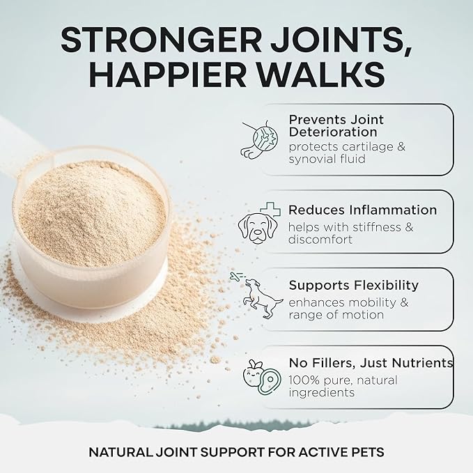 Wild Pets Blue Lipped Mussel & Glucosamine – Dual-Action Dog Hip & Joint Supplement – 500mg Mussel + 500mg Glucosamine per Scoop – 6oz/120 Servings – Higher Protein Than Green lipped Mussels for Dogs