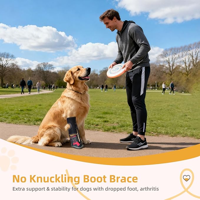 Dog Strap-On Drop Foot Orthotics (Knuckleless Boot Orthotics) – Dog Knee Pads,Corrective Dog Shoes That Safely Lift Toes, Relieve Foot Problems, Arthritis, and Improve Your Dog's gait (M)