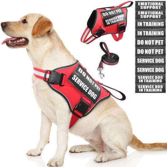 Service Dog Vest Harness and Leash Set+10 Patches,Easy - Image 1