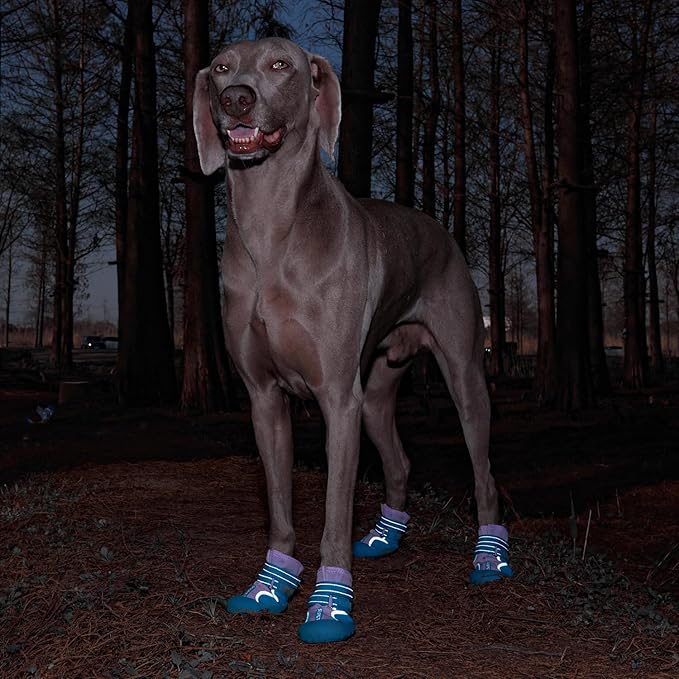 Dog Shoes, Waterproof Dog Boots & Paw Protectors with Anti-Slip Sole, 4pcs/Set Pet Dog Booties, Reflective Dog Shoes for Small Medium Large, Winter Snowy Summer Hot Pavement (Blue, 6# (L))