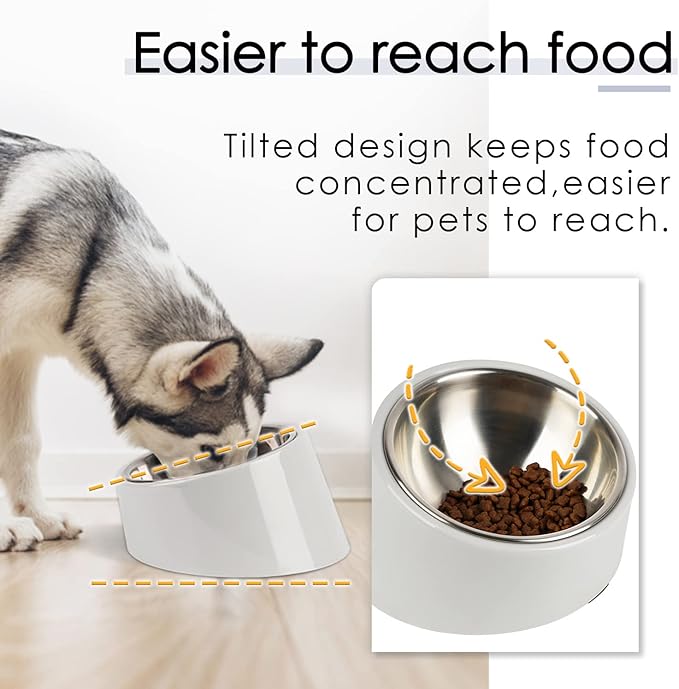 SuperDesign Mess Free 15° Slanted Bowl for Dogs and Cats, Tilted Angle Bulldog Bowl Dog Feeder, Non-Skid & Non-Spill, Easier to Reach Food L/2 Cup Gray