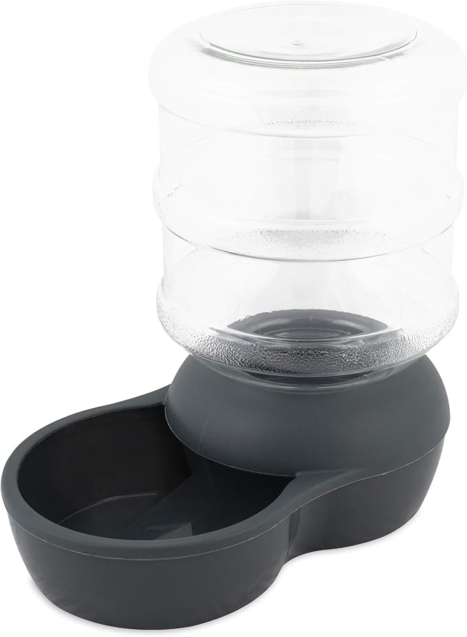 Petmate Aspen Pet 2.5 Gallon Gravity Waterer and Outward Hound Fun Feeder Slo Bowl Slow Feeder Dog Bowl Large/Regular Turquoise