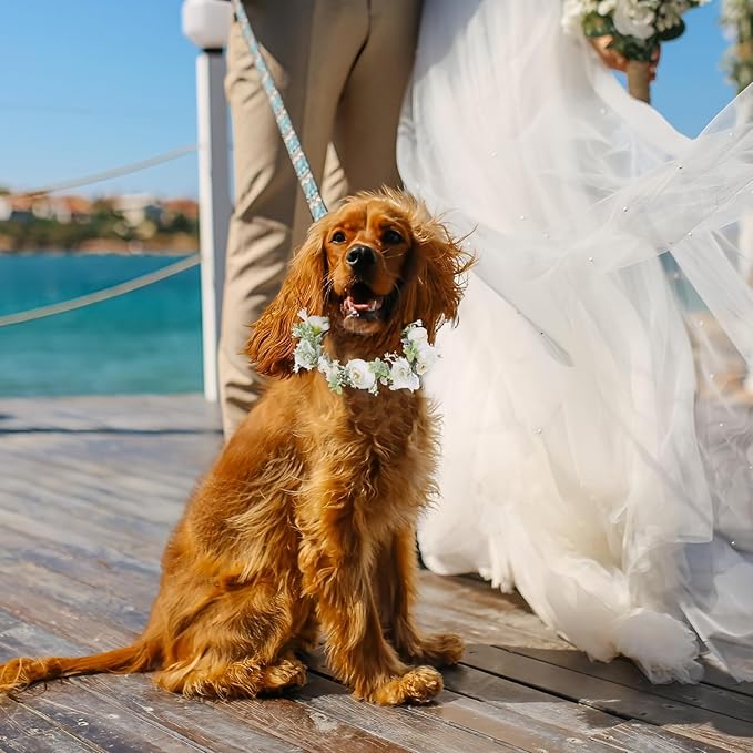 Dog Wedding Flower Collar with Pearls Beaded Leash,Elegant Dog Flower Headband,Dogs Wedding Attire Wreath Bow,Pet Photo Prop (Large)