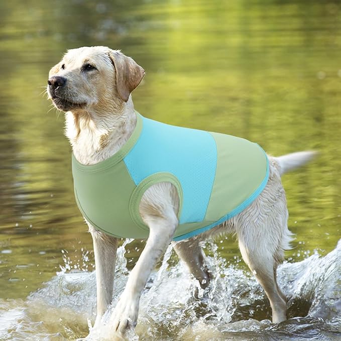 BRKURLEG Dog Cooling Vest, UPF 50+ Sun Protection Dog Cooling Shirts, Breathable Quick Dry Vest for Small to Large Dogs & Cats, Lightweight Summer Pet Clothing for Hiking, Beach, Bluegreen, XXL
