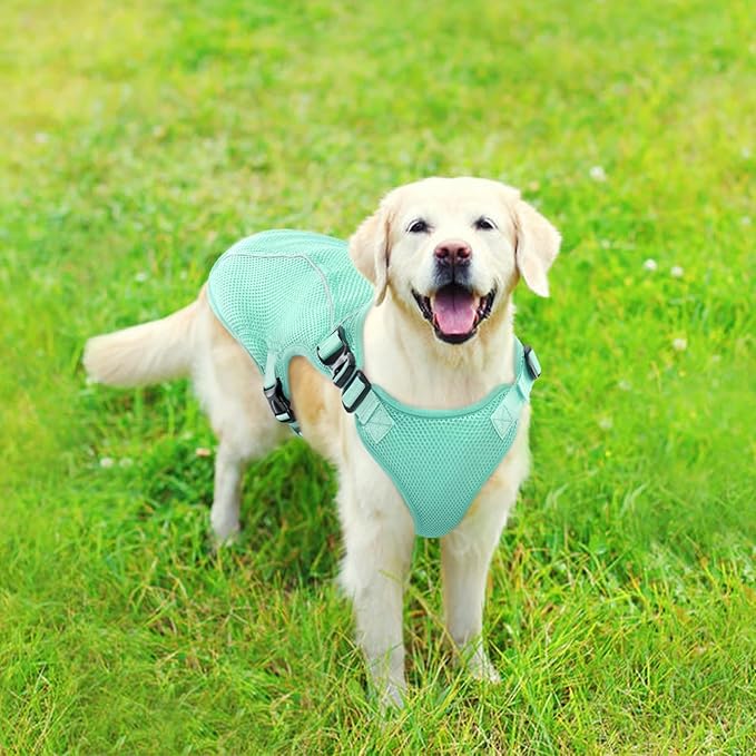 Kuoser Dog Cooling Vest for Large Dogs, Lightweight Doggie Cooler Jacket Breathable Mesh Pet Cooling Shirts Reflective Puppy Cool Harness for Beach, Hiking, Walking Green XL