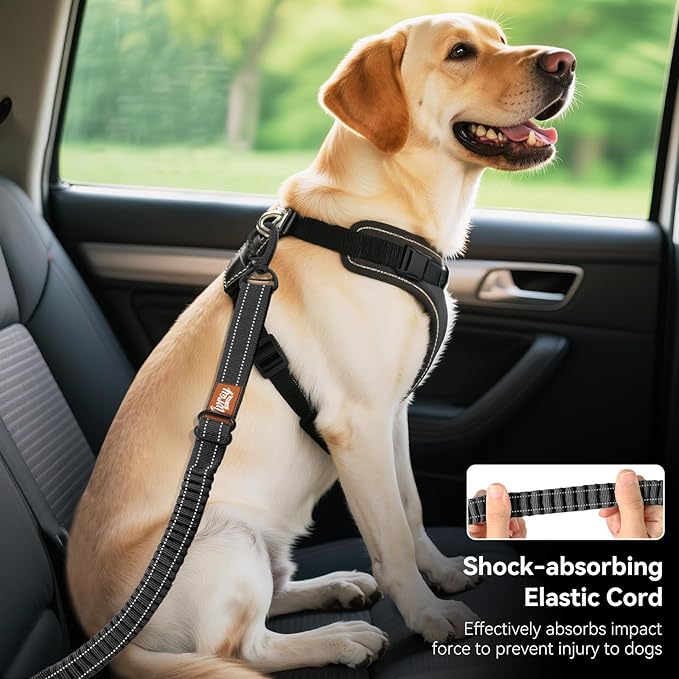 2Pcs Dog Seat Belt, Dog Car Seat Belt Bungee, Car Harness for Pet with Buckle & Hook Latch, Safety Leash Vehicle, Adjustable Reflective Pet Vehicle Tether, 360° Swivel Lock Clasp, Black