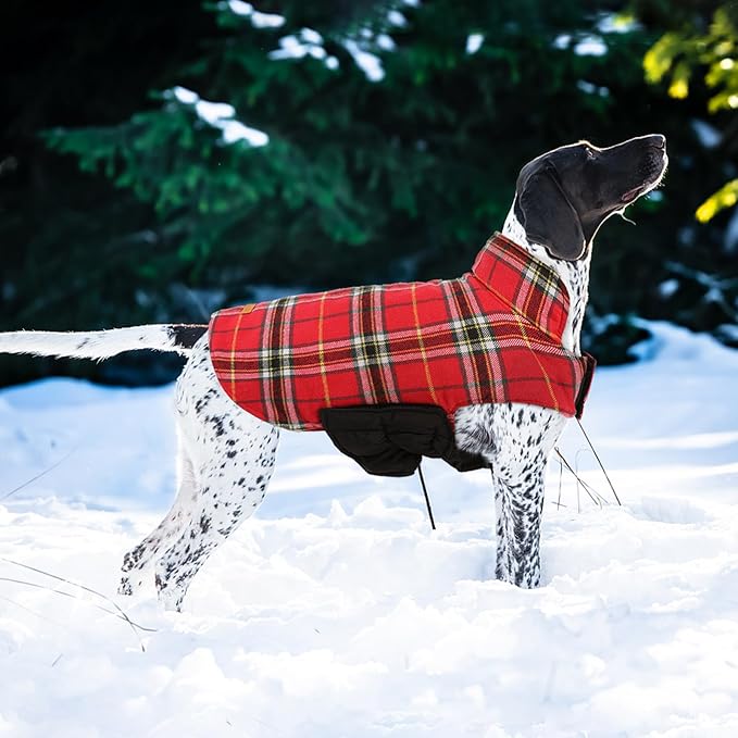 Kuoser Waterproof Dog Coat, Reversible Dog Jacket for Medium Dogs, Adjustable Durable Doggie Winter Coat Warm Puppy Cold Weather Apparel from Small to Large Breed, Bright Red M