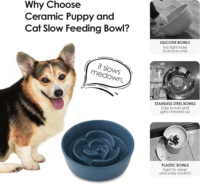 Ceramic Slow Feeder Dog Bowl for Small Dogs & Cats, 6 Inch Puzzle Pet Food Dish, Non-Slip Heavy Design, Helps Reduce Fast Eating, Bloating & Indigestion, Dishwasher Safe (Deep Ocean Blue)