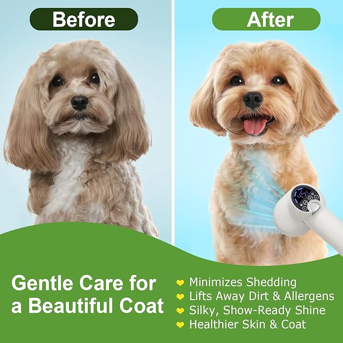 3-in-1 Dog Hair Dryer Brush - Adjustable Temp (35°C-60°C) & 4 Speeds, One-Touch Hair Collection for Safe Grooming of Small & Medium Dogs