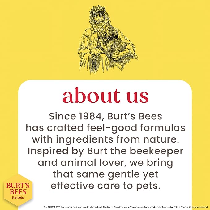Burt's Bees for Pets Tearless Kitten Shampoo with Buttermilk and Honey, Gentle Cat Shampoo for Itchy Skin and Sensitive Coats, Easy Rinse Low Lather Formula, 99.3% Natural Origin, 10 Fl Oz