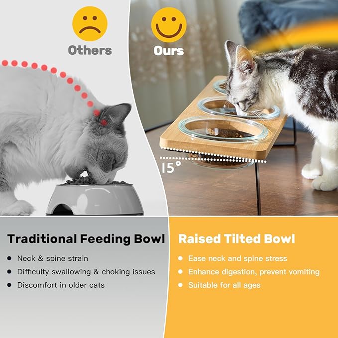 Elevated Cat Bowls, 15° Tilted Cat Food Bowl, Includes 3 Glass Bowls, Bamboo Board, and Metal Stand for Cats and Puppies