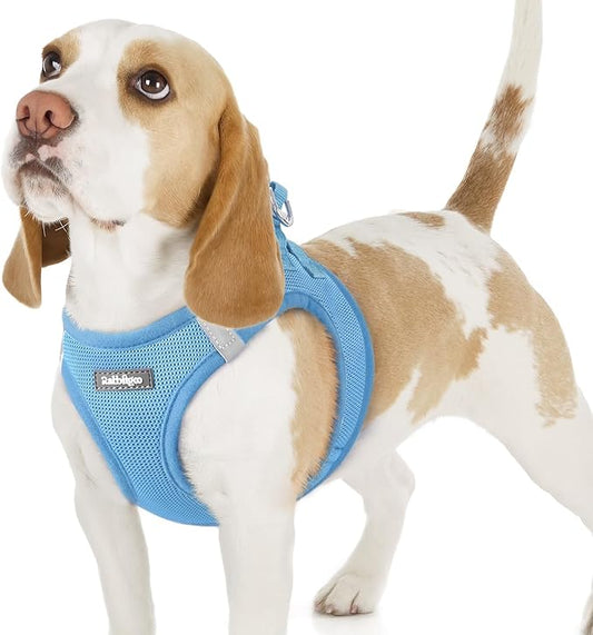 rabbitgoo Small Dog Harness, Step-in Soft Mesh Puppy Vest with Safety Buckle, Breathable Reflective Pet Harness for Small Sized Dogs, Blue M