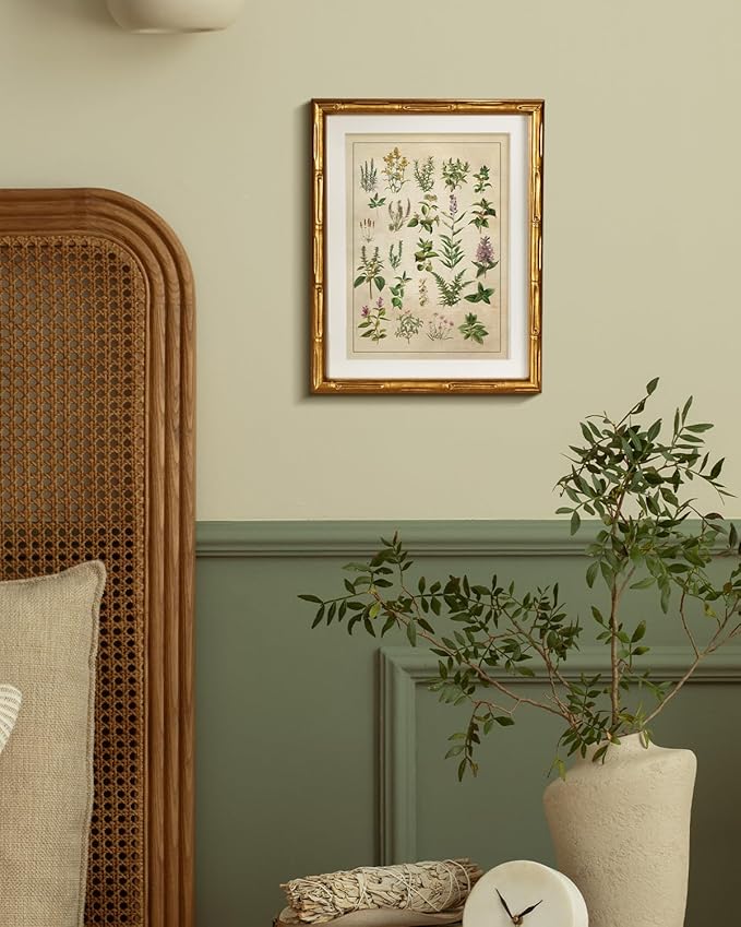 HUARCEY Vintage Botanical Chart Wall Art Gold Framed 11x14, Antique Style Herb Plant Illustration Canvas Print, Classic Apothecary Natural History Artwork Kitchen Study Farmhouse Office Home Decor