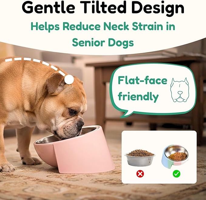 Tilted Dog Bowl for Flat-Faced & Senior Dogs, 15° Slanted Stainless Steel Dog Food Bowl, Elevated Pet Feeder for Small & Medium Dogs, Comfortable Eating Design (Green, M (420 ML / 1.5 Cups))