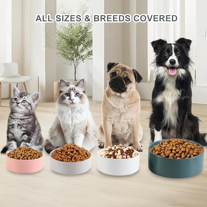 Ceramic Dog Bowl for Food and Water - Pet Feeder Bowl for Small Dogs and Cats - Heavy Ceramic Feeding Dish with Non Slip Base - Dishwasher & Microwave Safe - 5 Inch - 1.4  Cups - White