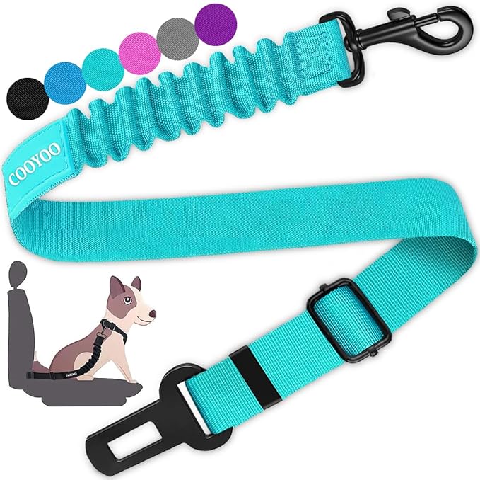 Dog Car Seat Belt – Adjustable Safety Harness with Elastic Bungee Buffer for Secure Travel – Teal