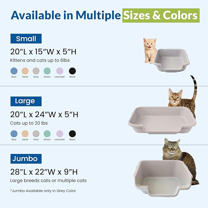 KittyGoHere Senior Cat Litter Box, Jumbo Litter pan, Open Top Low Entrance Kitty Litter Box, Lightweight Low Entry Litters Box, Durable, Made in USA (2 Pack - Misty Gray)