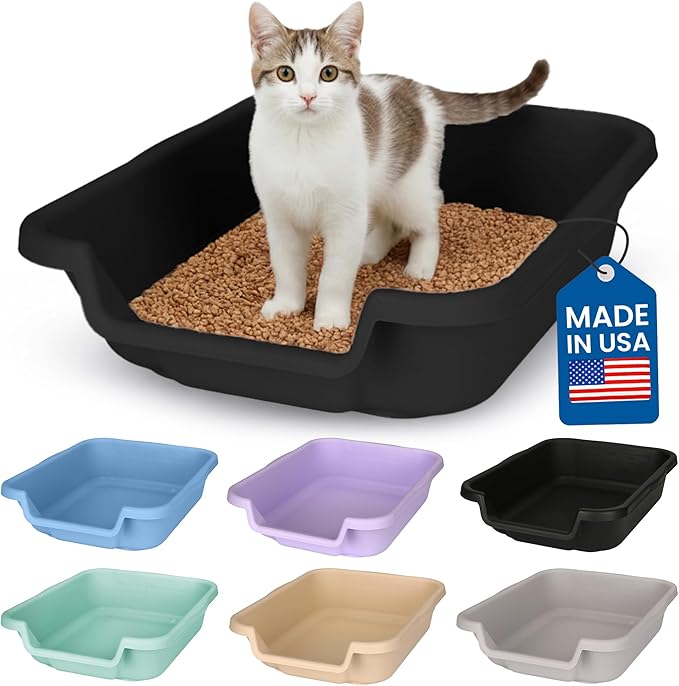 KittyGoHere Senior Cat Litter Box, Small Litter pan, Open Top Low Entrance Kitty Litter Box, Lightweight Low Entry Litters Box, Durable, Made in USA (Black)