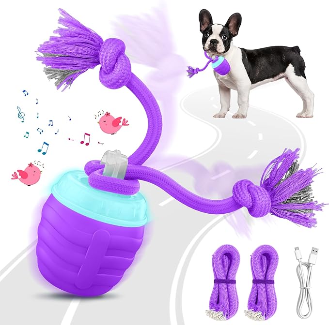 Interactive Dog Toys Ball - New Upgraded Chase Buddy Dog Toy for Small Dogs, Automatic Moving and Rolling Dogs Ball for Boredom, USB Rechargeable(Purple)