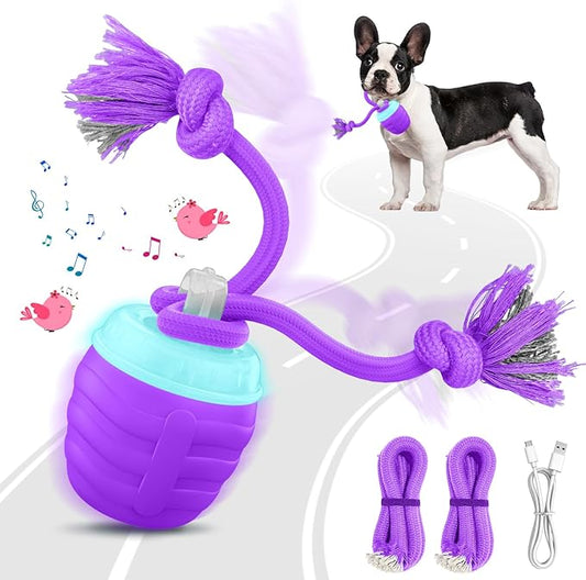 Interactive Dog Toys Ball - New Upgraded Chase Buddy Dog Toy for Small Dogs, Automatic Moving and Rolling Dogs Ball for Boredom, USB Rechargeable(Purple)