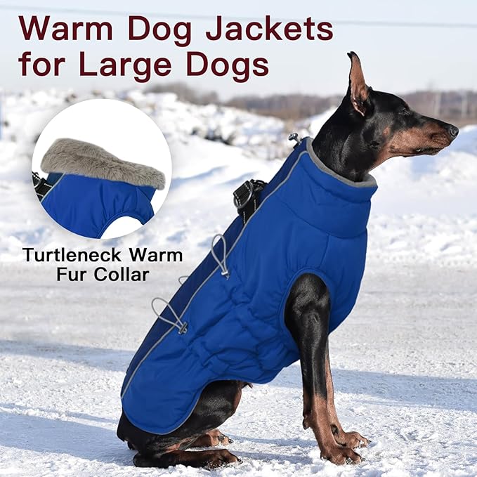 Dog Winter Jacket - Large, Warm Zip Up Snowsuit Dog Harness Vest, Reflective, Water-Resistant, Royal-Blue