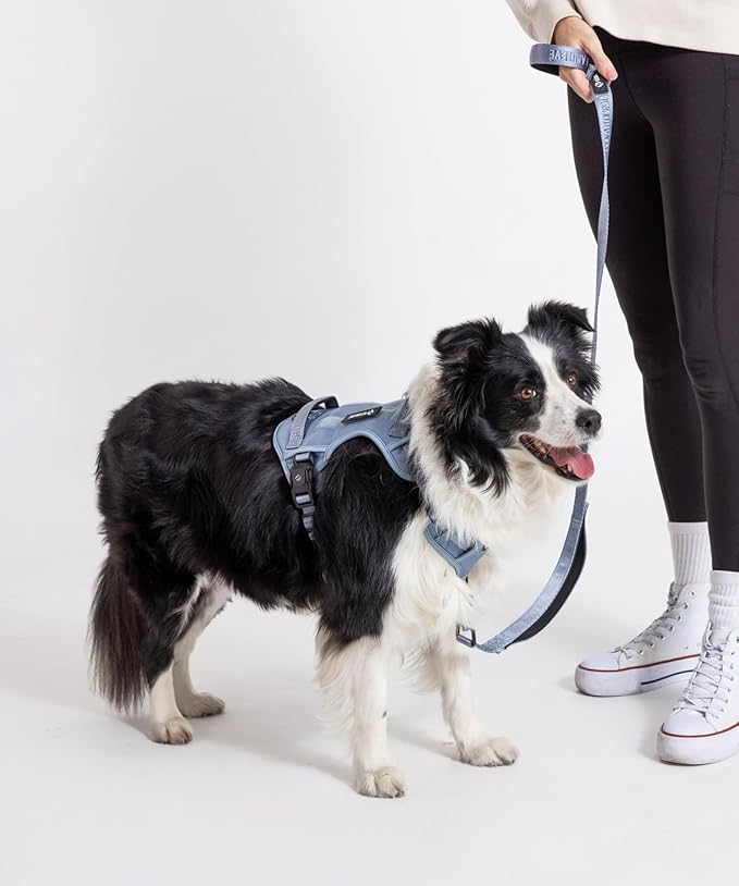 2025 New Edition, Fei & Eve MagEase Dog Harness - 3-Second Magnetic Buckles | 3-Point No-Pull Control | Heavy-Duty 900D Nylon | Dual Safety Handles | Breathable Mesh | Adjustable Fit | Large, Blue