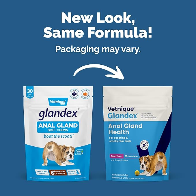 Vetnique Glandex Anal Gland Soft Chew Treats with Pumpkin for Dogs Digestive Enzymes, Probiotics Fiber Supplement for Dogs Boot The Scoot (Bacon Flavor Chews, 30 Count)