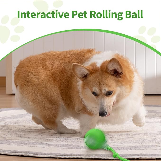 2pcs Smart Interactive Pet Toy Ball, Self Rolling Dog Ball Interactive Cat Toys, 360° Smart Automatic Rolling Ball Toy for Dogs Cats Indoor Outdoor Play (Red&Green)