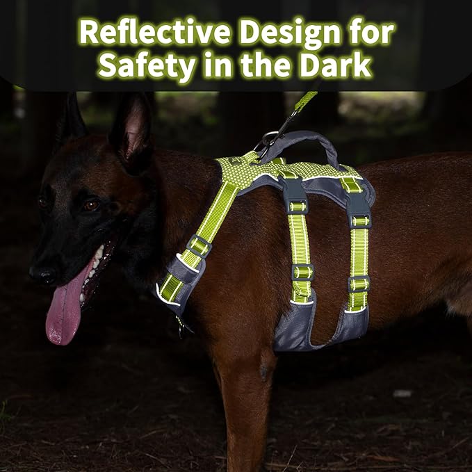 Huntboo Reflective Dog Harness with Handle, Escape Proof, No Slip, Breathable, Lightweight, Adjustable Lift Harness for Small, Medium, and Large Dogs Walking, Training,and Running Gear(Bright Green,M)