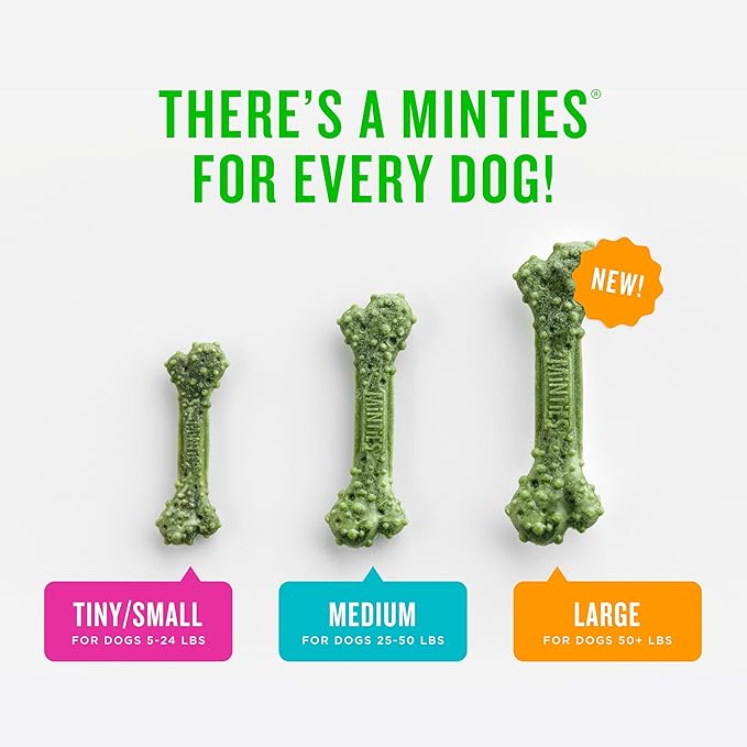 Minties Dental Chews for Dogs, 8 Count, Vet-Recommended Mint-Flavored Dental Dog Treats for Medium Dogs, Bones Clean Teeth, Fight Bad Breath, and Removes Plaque and Tartar