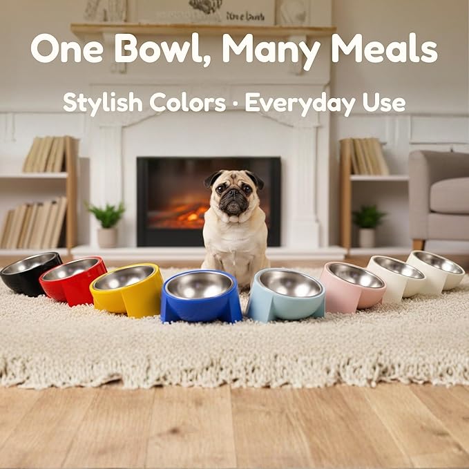 Tilted Dog Bowl for Flat-Faced & Senior Dogs, 15° Slanted Stainless Steel Dog Food Bowl, Elevated Pet Feeder for Small & Medium Dogs, Comfortable Eating Design (White, M (420 ML / 2 Cups))