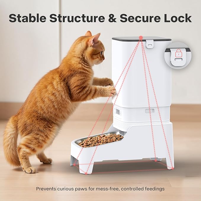 Automatic Cat Feeder, Elevated Stand for Neck Health, 7L Automatic Dog Feeder, Cat Food Dispenser, No-Jam, Up to 6 Meals for 2-15 mm Dry Food, Stainless Steel Bowl, No Spinal Pressure