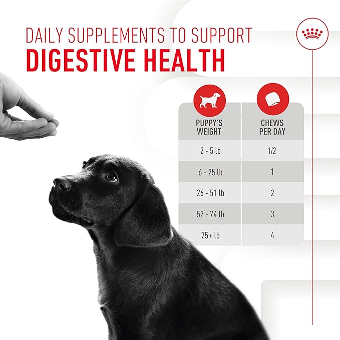 Royal Canin Puppy Supplement Soft Chews for Immunity & Digestion, 60 Count