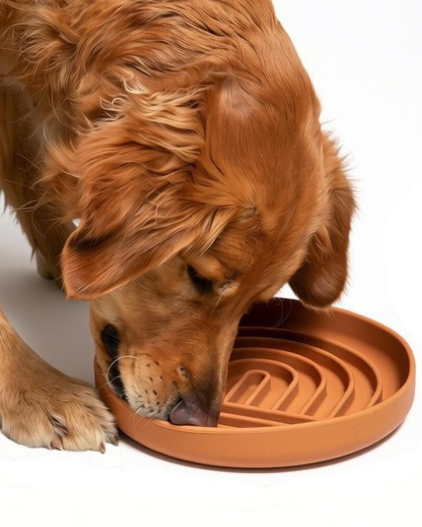Should We Go? Slow Feeder for Dogs & Puppies, The Slowdown Bowl Silicone Slow Eating, Lick Mat Design, Reduces Gulping, Fits 2.5 Cups, 9.5” Across x 1.5” Tall, Mealtime Challenge, Large-Terracotta