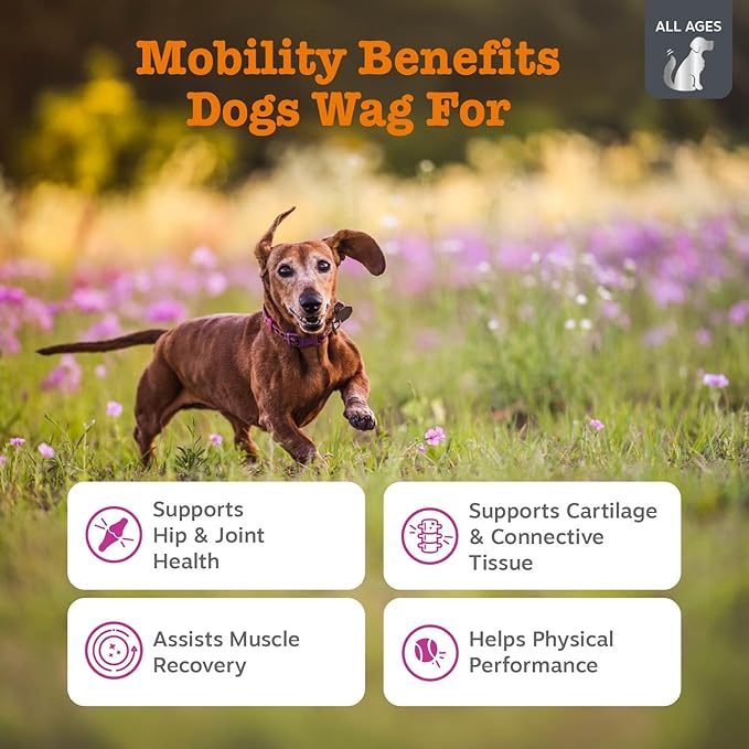 Zesty Paws Vet Strength Mobility Bites Beef & Bacon Flavor Hip & Joint Support Chews for Dogs with Glucosamine, Chondroitin, MSM, Hyaluronic Acid & Serrazimes - 90 Count