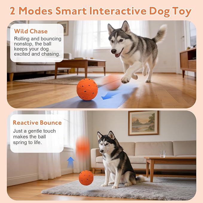 Smart Interactive Dog Toy, Pet Ball Toys Automatic Moving Bouncing and Rotating, Interactive Cat Toy for Indoor Cats, Rechargeable Touch Activated Kitten Toy with Dual Motion Butterfly & Feat