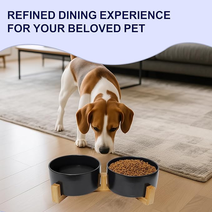 Ceramic Dog Water Bowl, 13.5 oz No Spill Water and Food Bowls for Dogs, Modern Design Dishes for Puppy & Cat, Pet Feeding Station with Weighted Base, Black