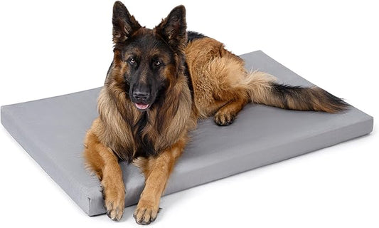 Cybarmour Chew Proof Dog Bed - Orthopedic Indestructible Dog Crate Pad - Outdoor Waterproof Kennel Mat for Aggressive Chewers - Extra Large Breeds & Fits 48-Inch Crate - 47"x29", Limestone
