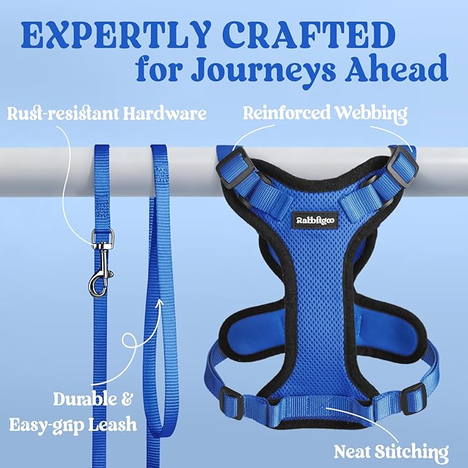 rabbitgoo Cat Harness and Leash for Walking, Escape Proof Soft Adjustable Vest Harnesses for Cats, Easy Control Breathable Reflective Strips Jacket, Navy Blue, XXS