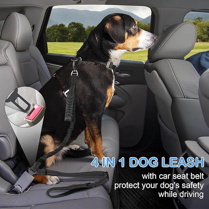 2 Pack Heavy Duty Dog Leash for Medium Large Dogs That Pull,4-6FT Shock Absorbing Bungee Tactical Dog Leash with Control Padded Handle Car Seatbelt,Reflective Walking Training Lead,Black