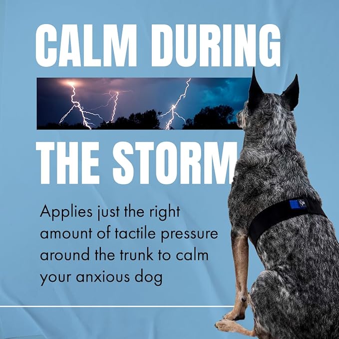 SettleStrap – Fast, Safe & Effective Anxiety Relief for Dogs | USA-Made Canine Calming Pressure Strap for Stress & Hyperactivity